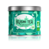 Thé vert menthe concombre - Boîte 100g