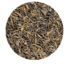 Thé en sachet : Thé vert gingembre-citron - 20 sachets