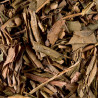 Thé en vrac Houjicha - N°128 - 100g